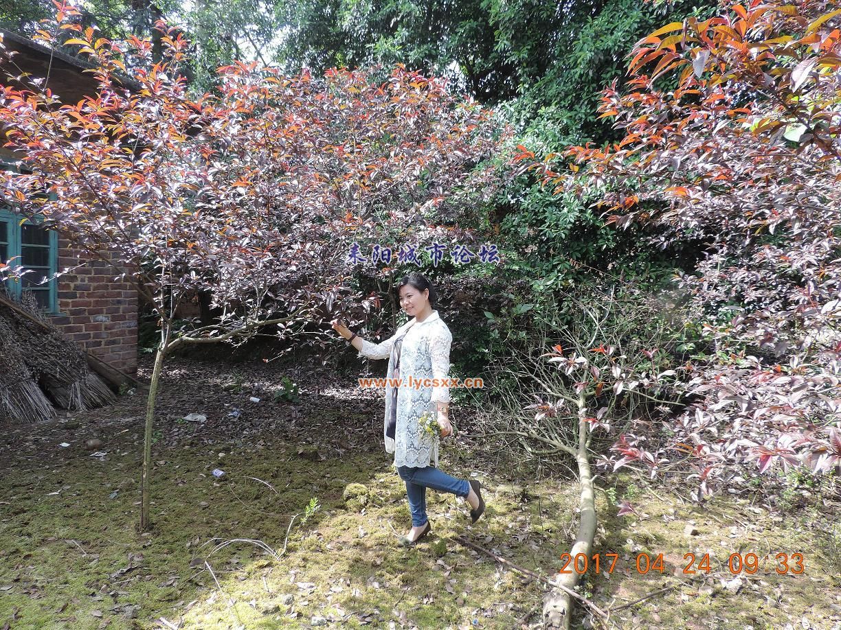 DSCN8222.JPG