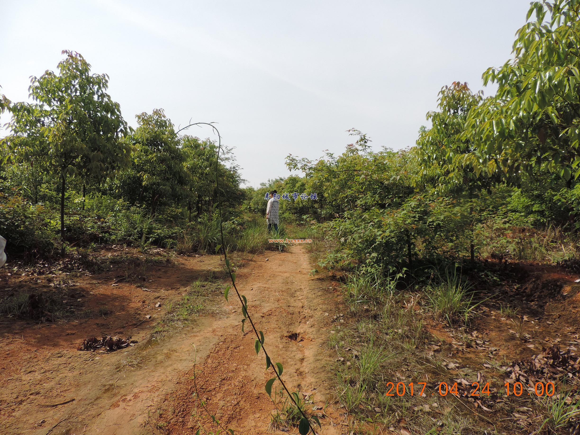 DSCN8243.JPG