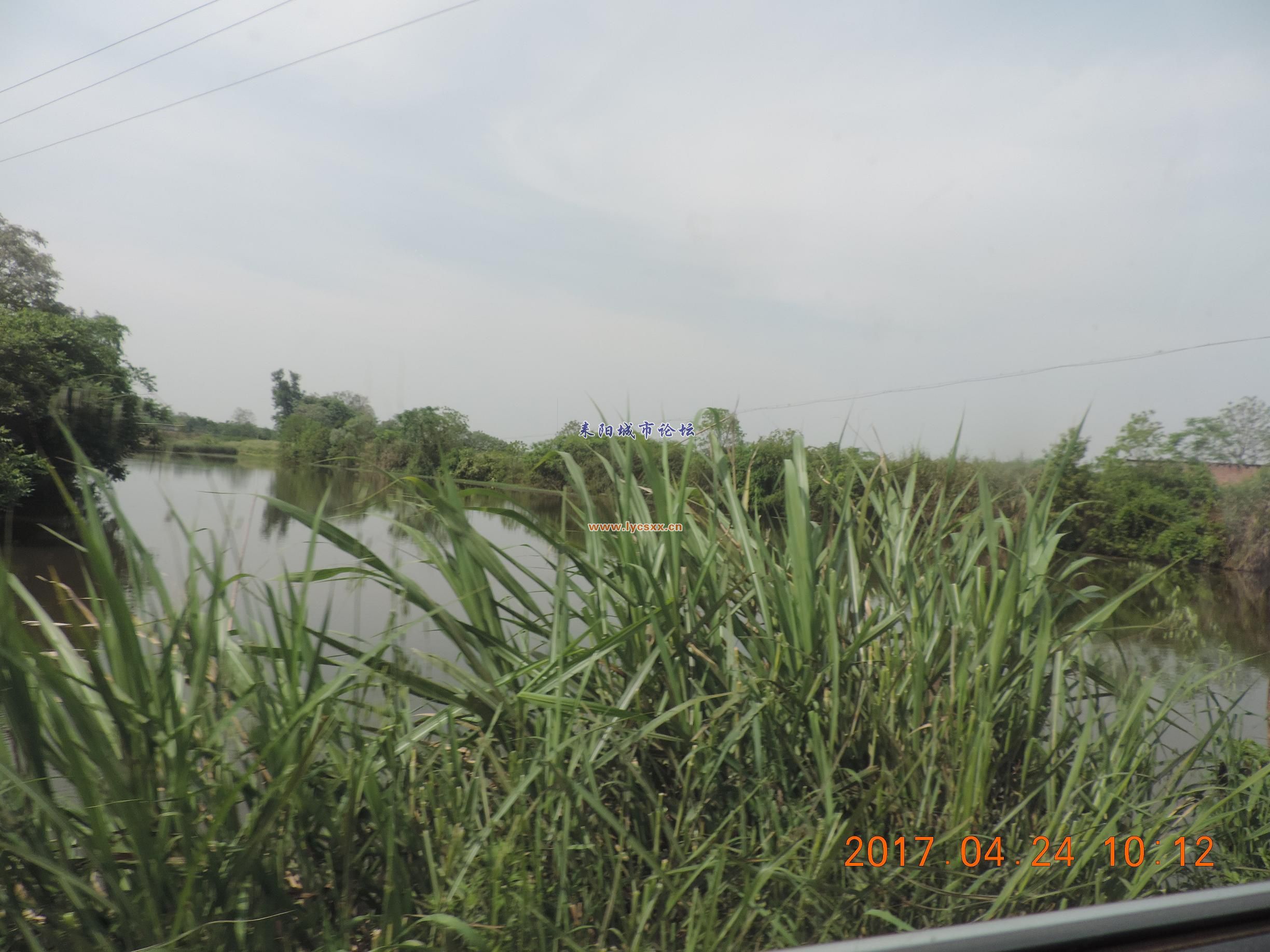 DSCN8250.JPG
