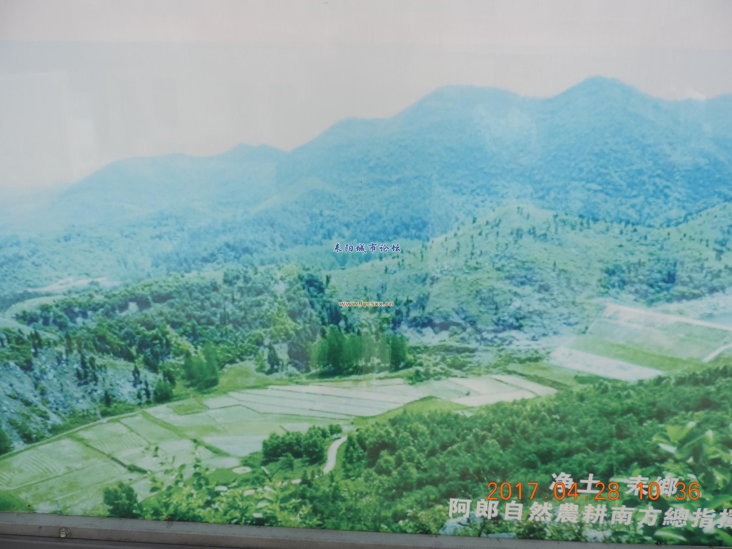 DSCN8329.JPG