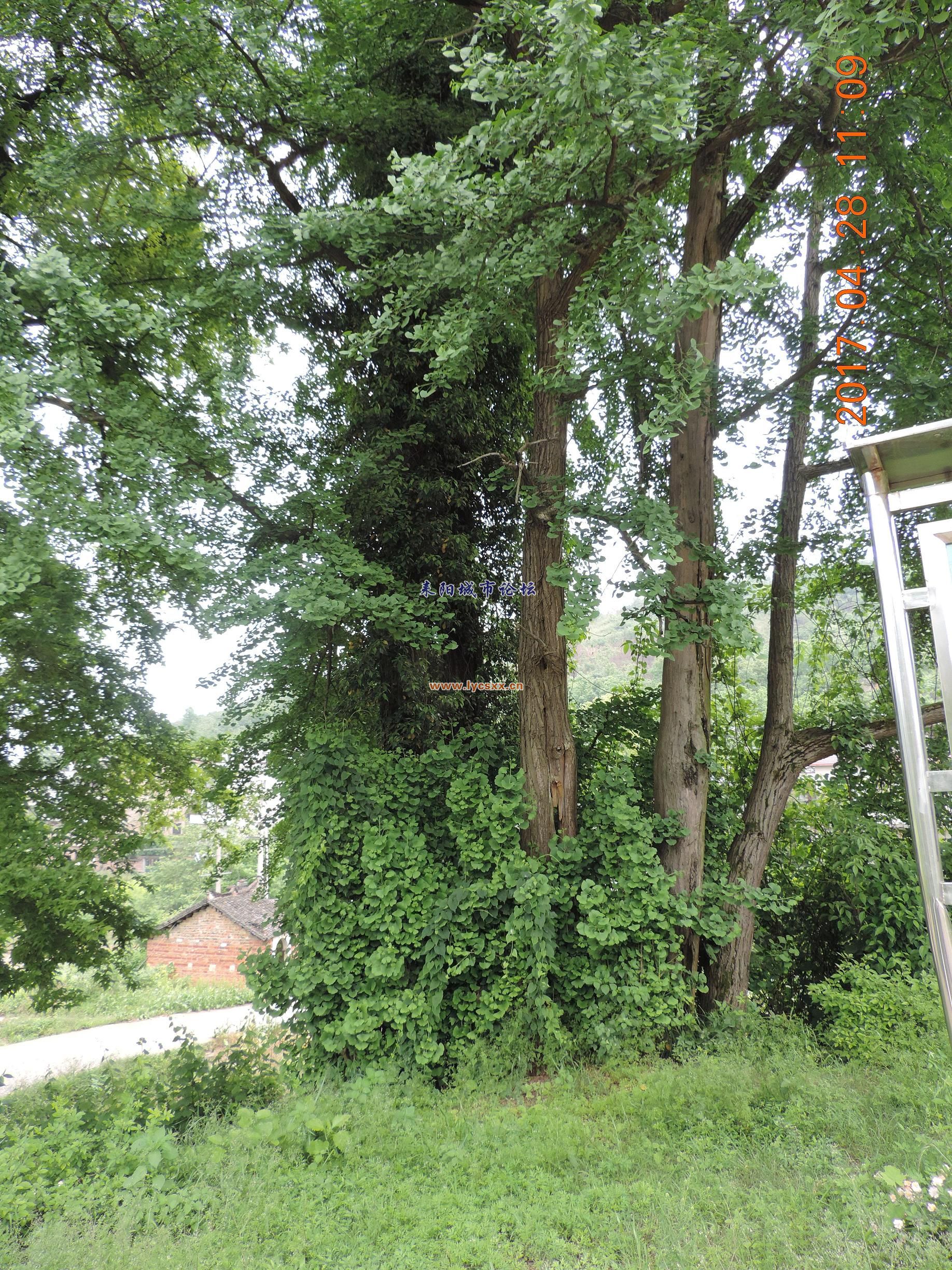 DSCN8350.JPG