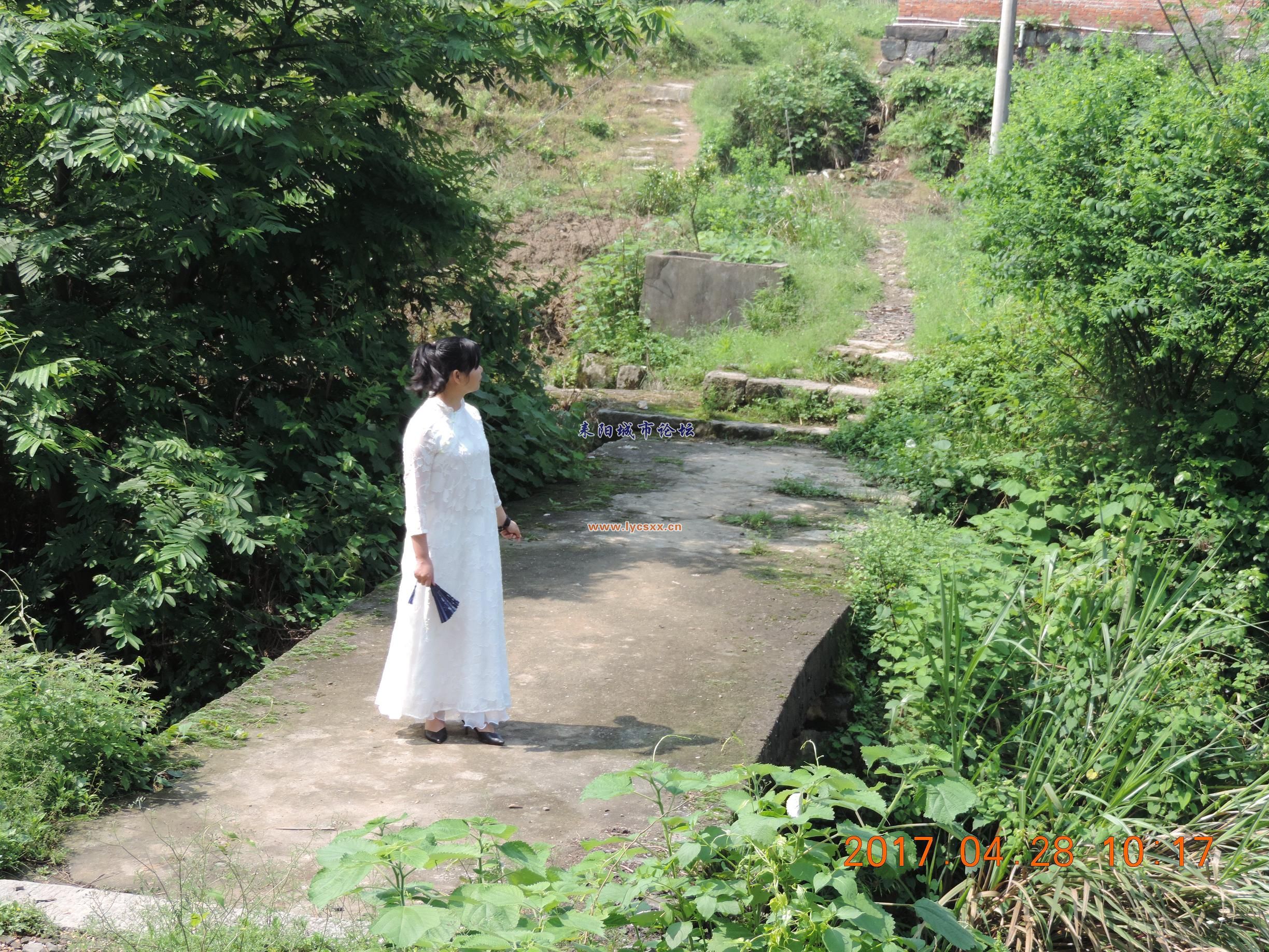 DSCN8316.JPG