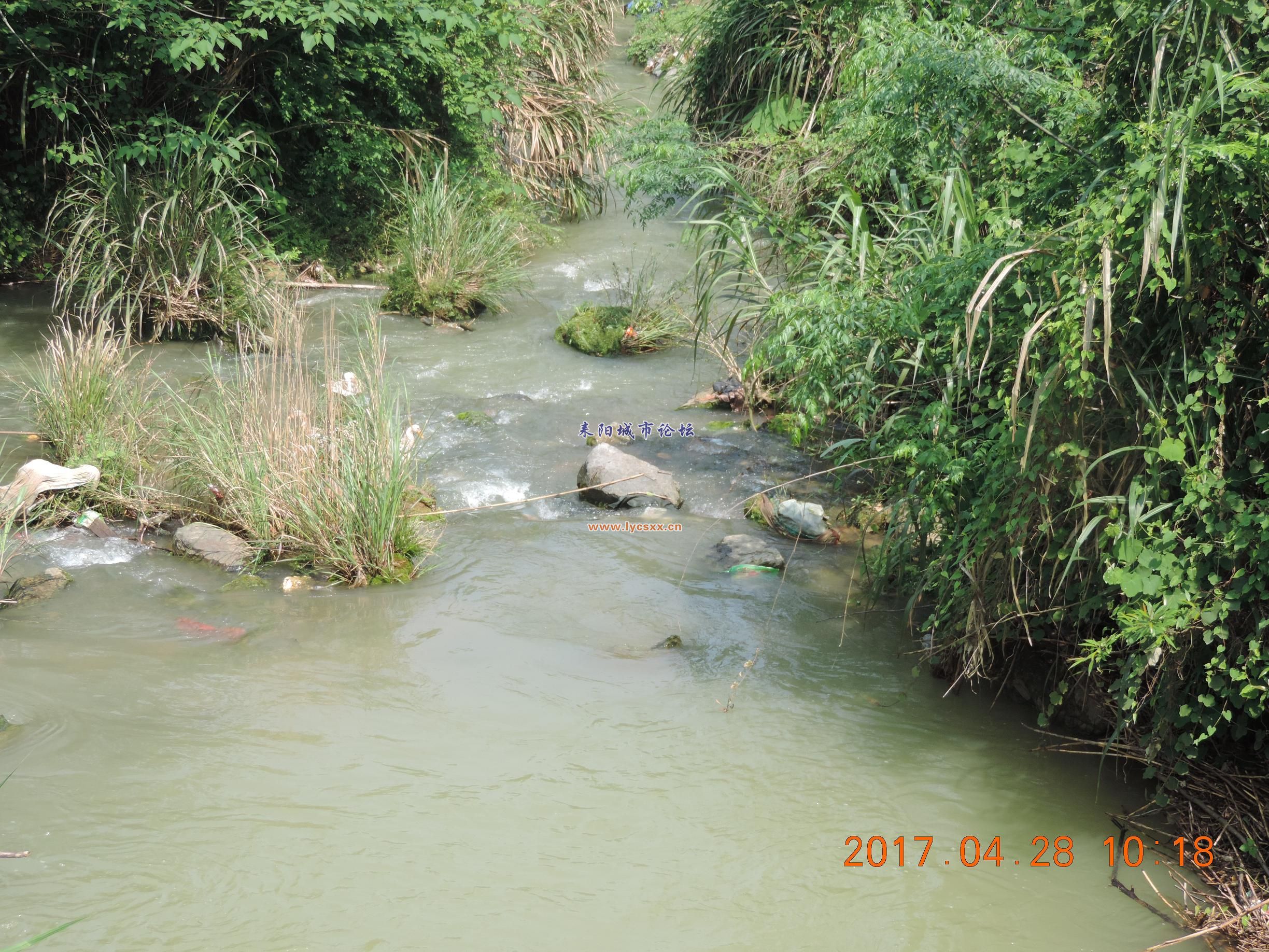 DSCN8318.JPG