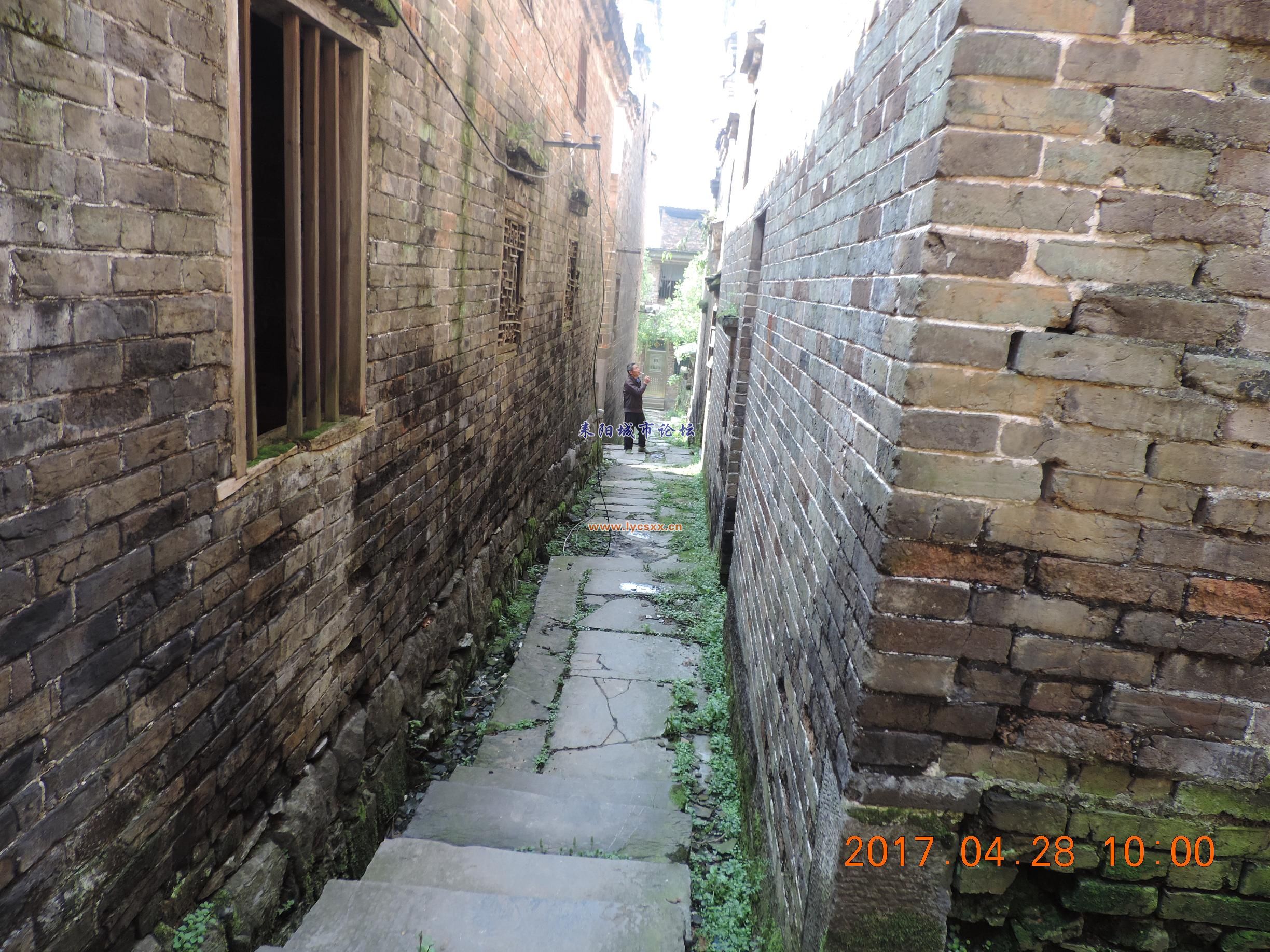 DSCN8300.JPG