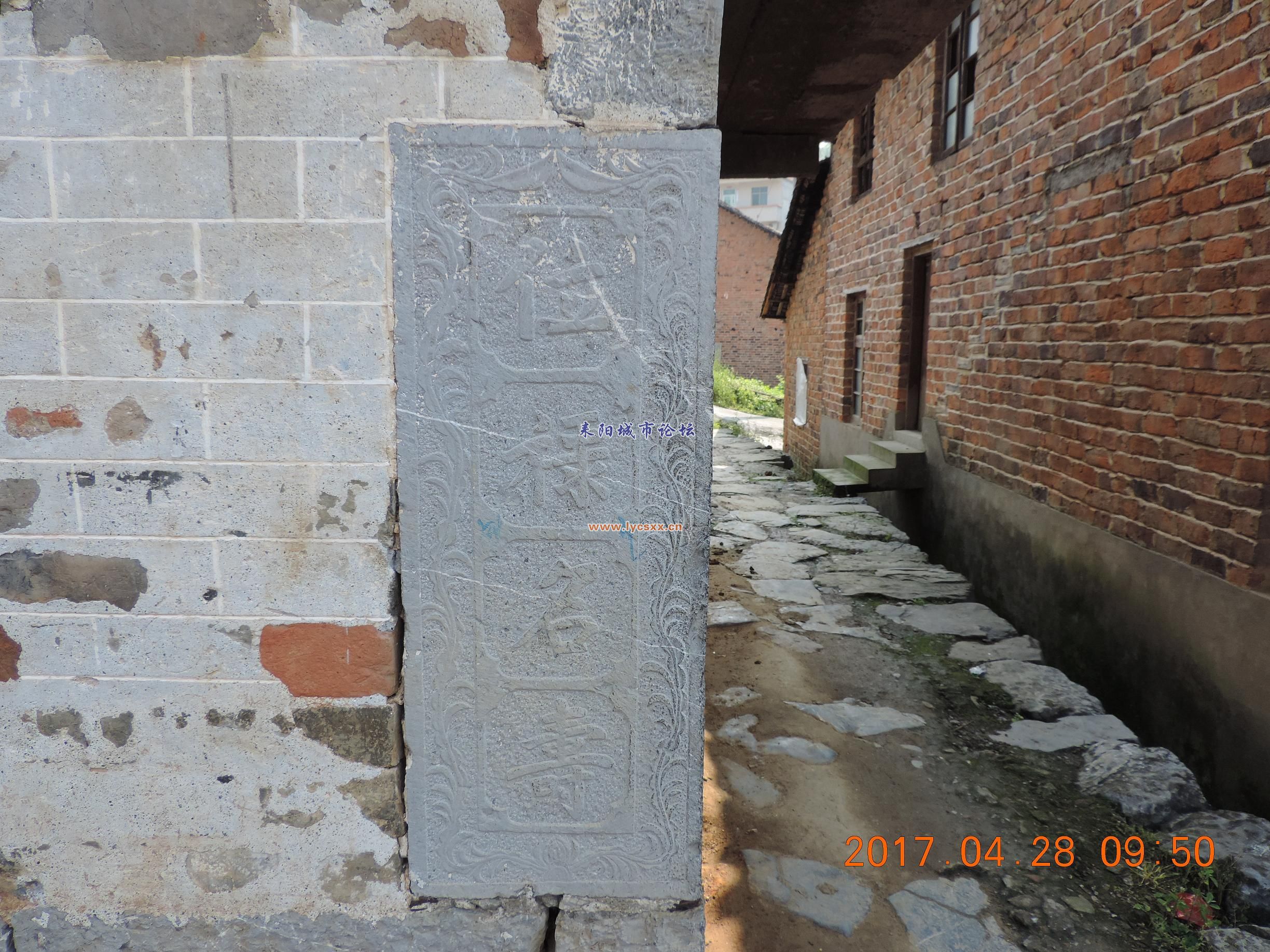 DSCN8287.JPG