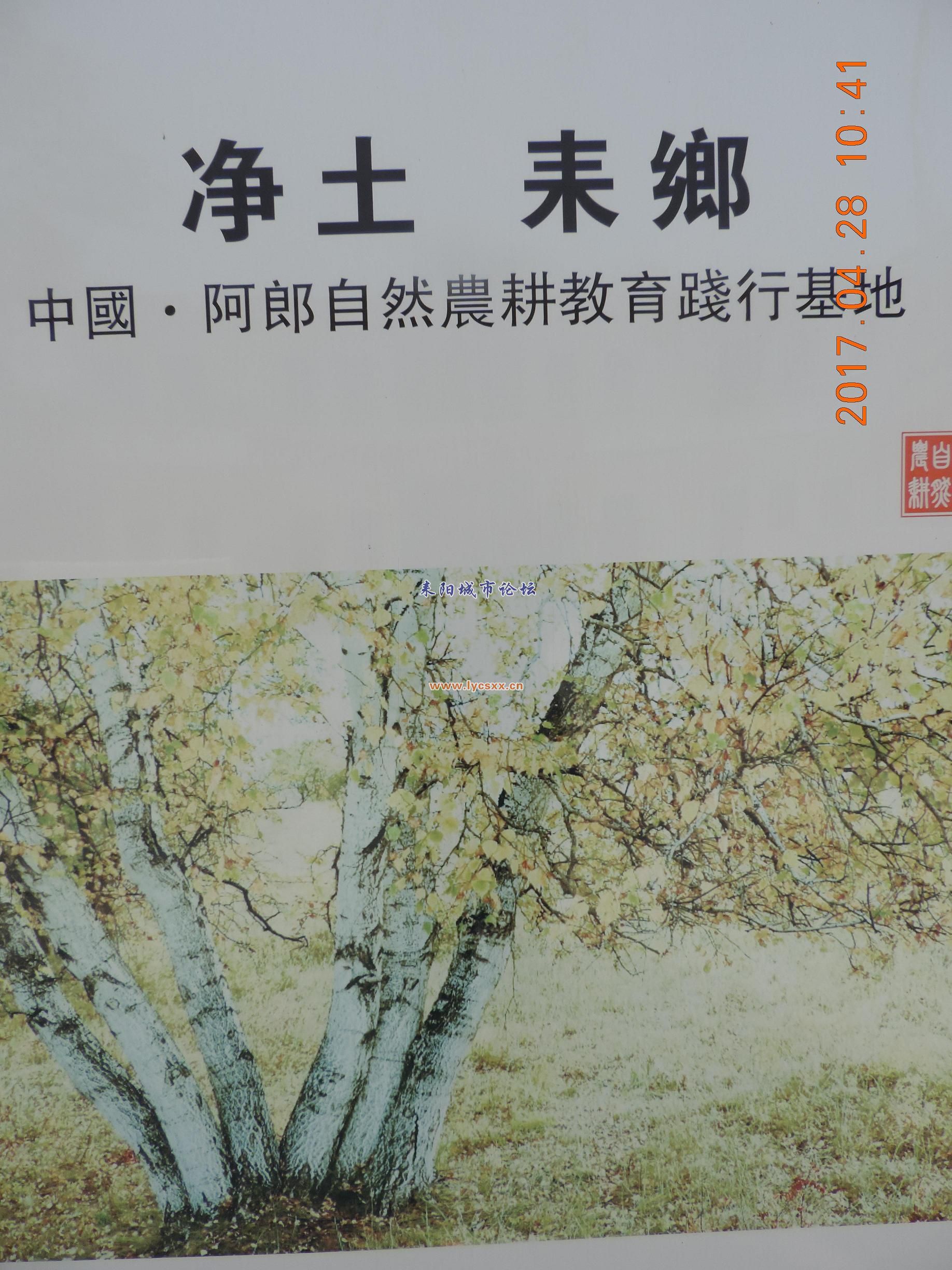 DSCN8338.JPG