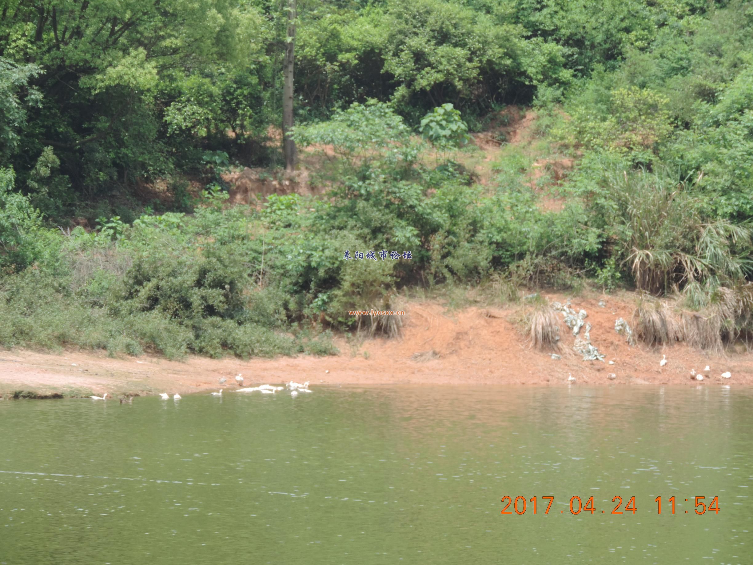 DSCN8281.JPG