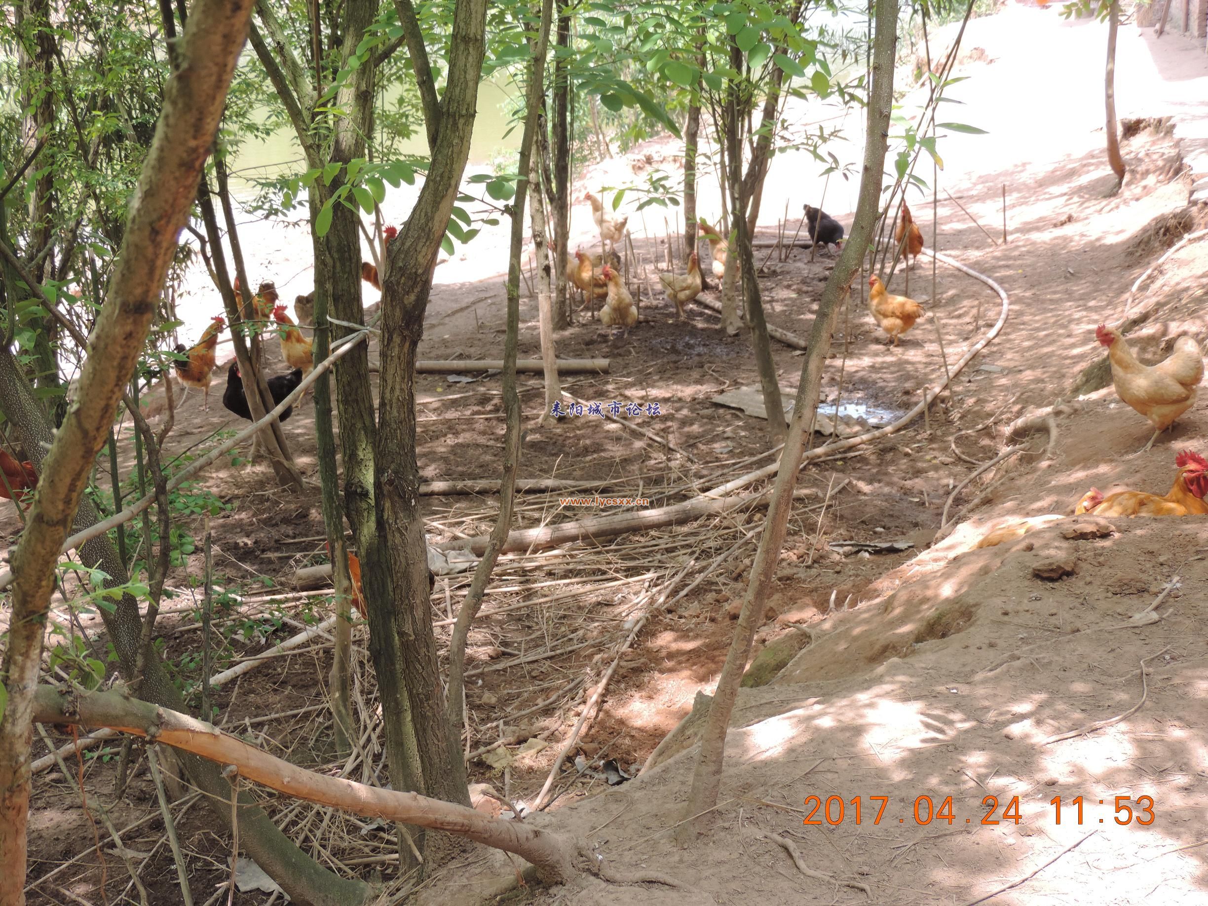 DSCN8280.JPG