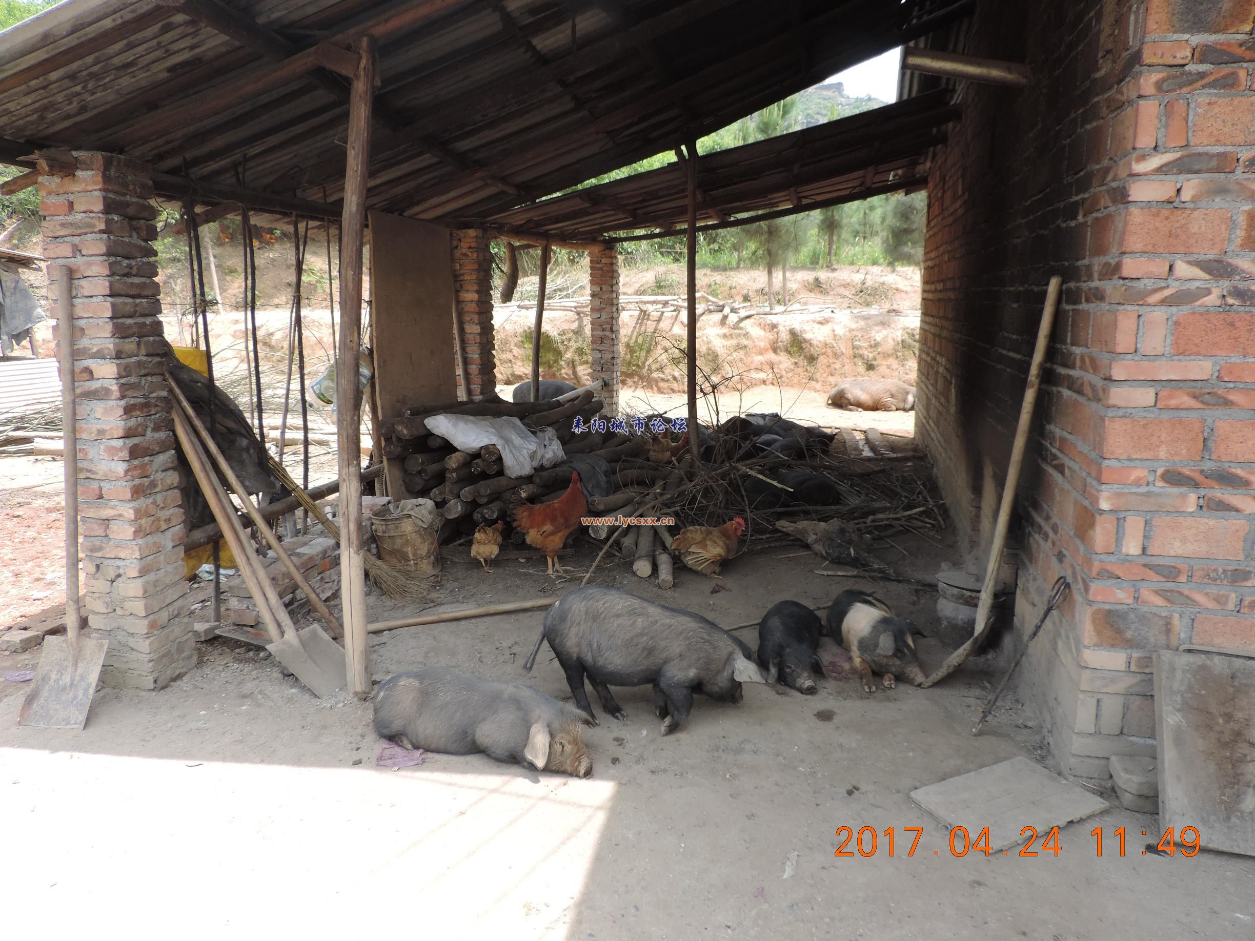 DSCN8273.JPG