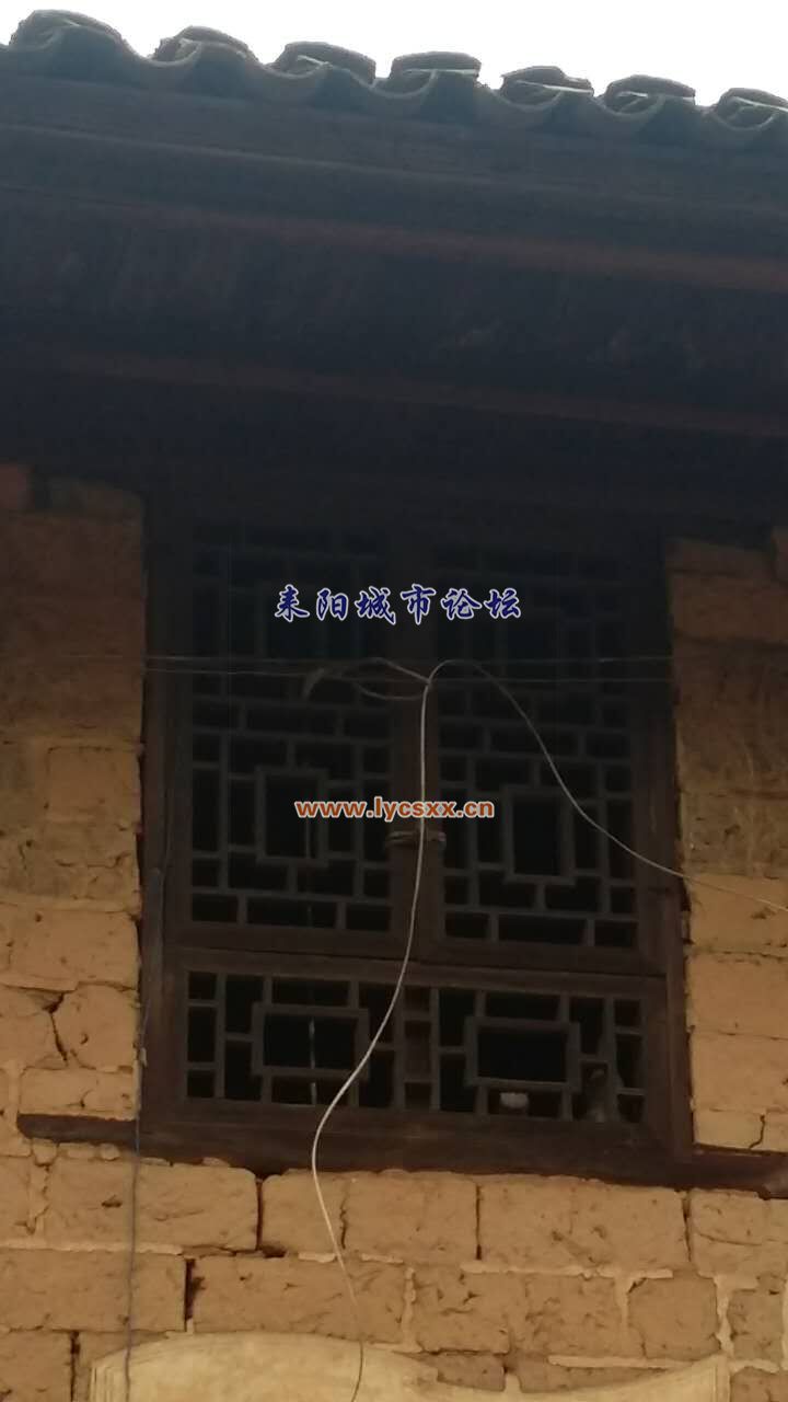 ˸
