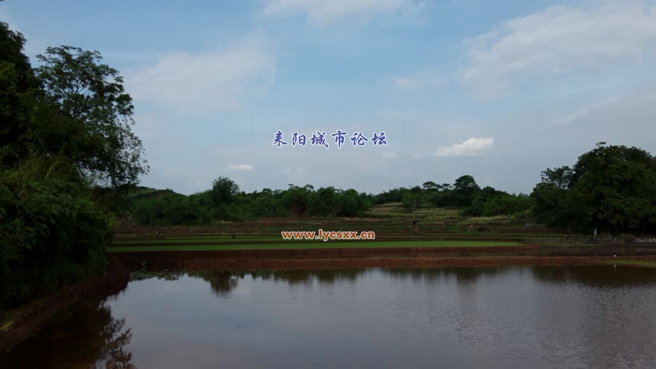 QQͼƬ20170505151720.jpg