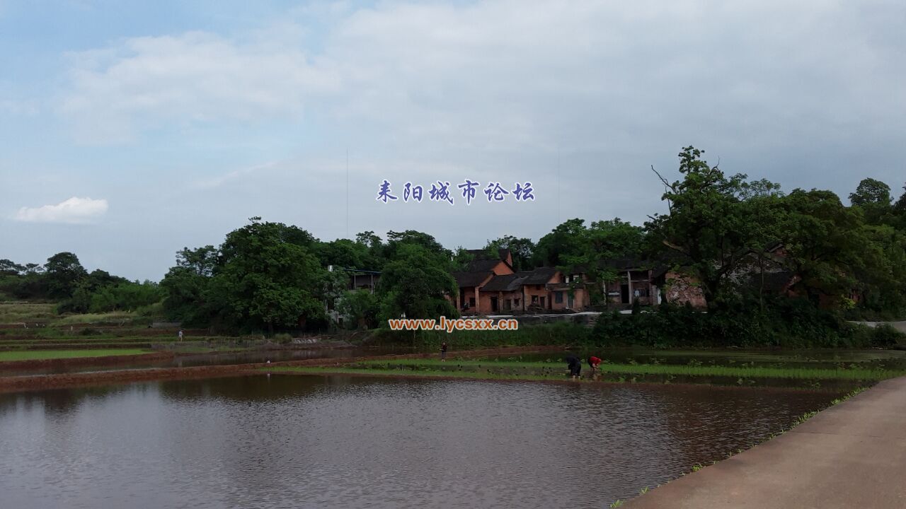 QQͼƬ20170505151731.jpg