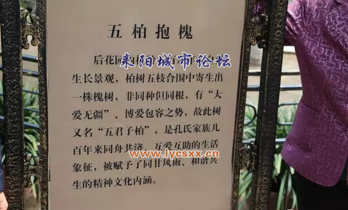 QQͼ20170507123633.png