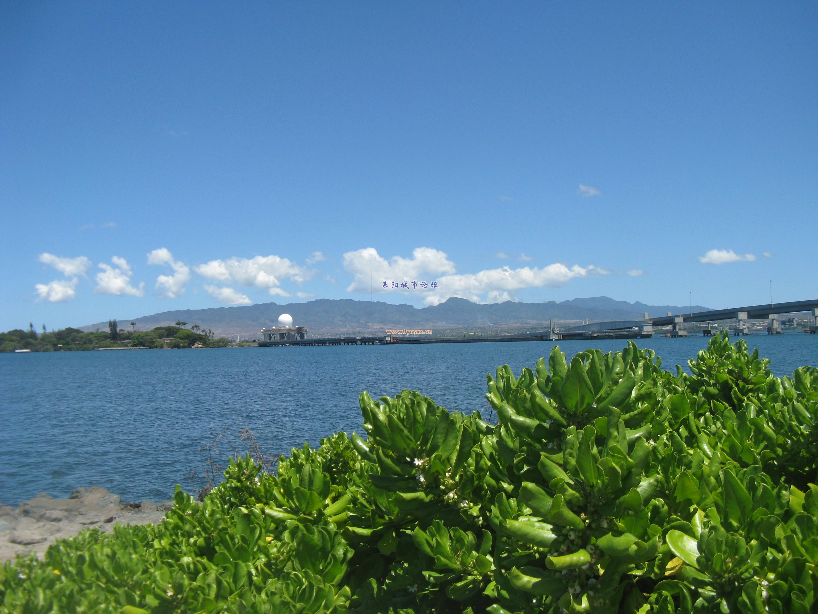 Ƭ 009.jpg