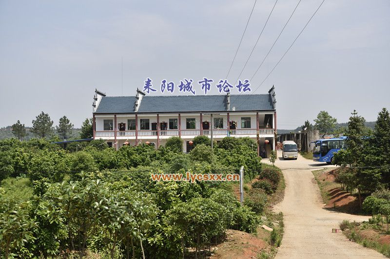 _DSC7530_.jpg