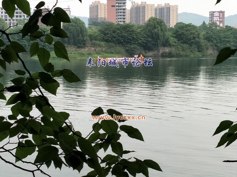 IMG20170530144027__.jpg