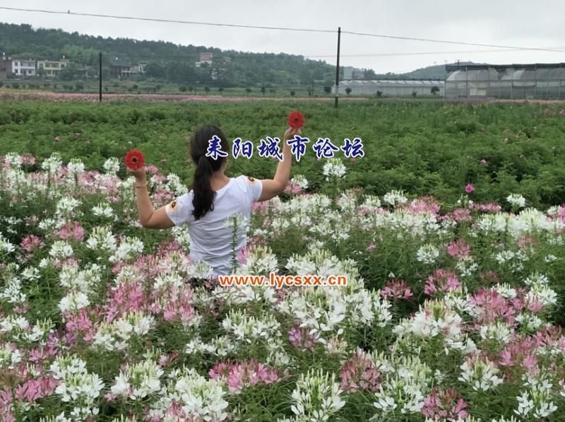 mmexport1496314521341.jpg
