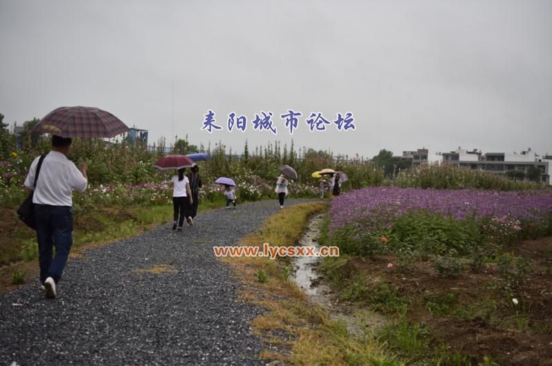 mmexport1496315452182.jpg