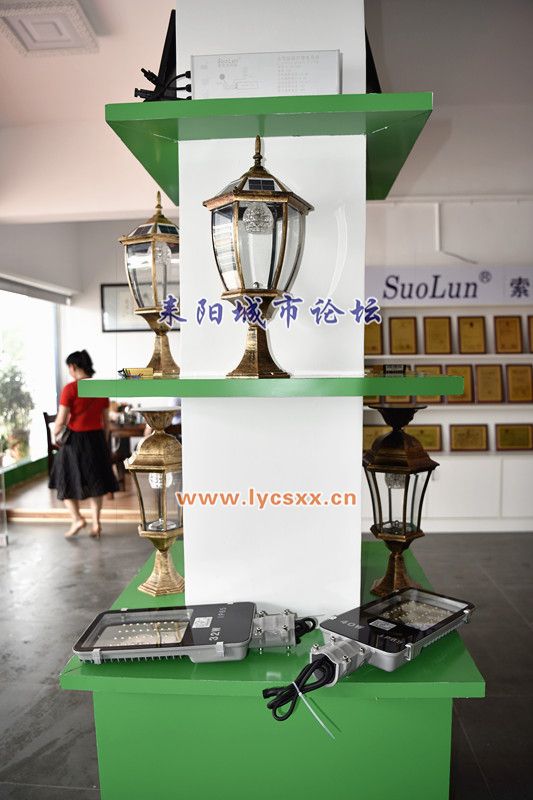 _DSC8900_.jpg
