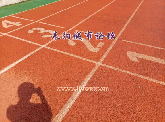 d3c25782b2b7d0a206f0e372c2ef76094a369a1e.jpg