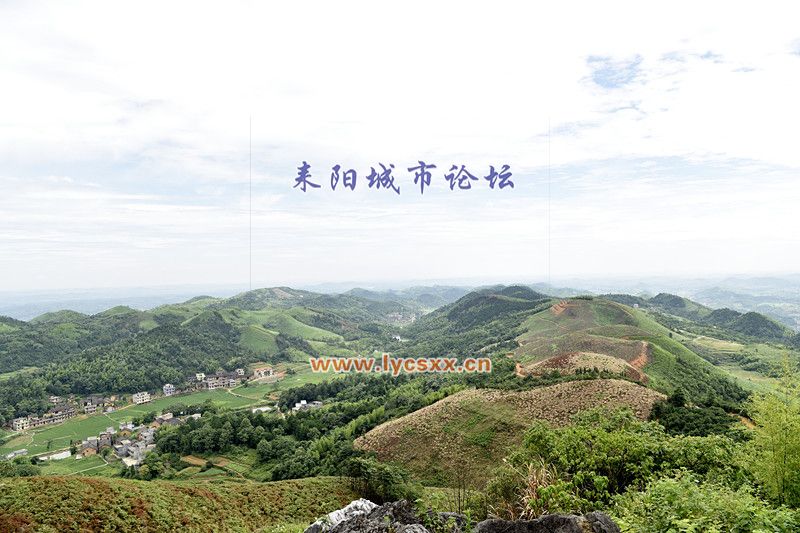 _DSC9095_.jpg