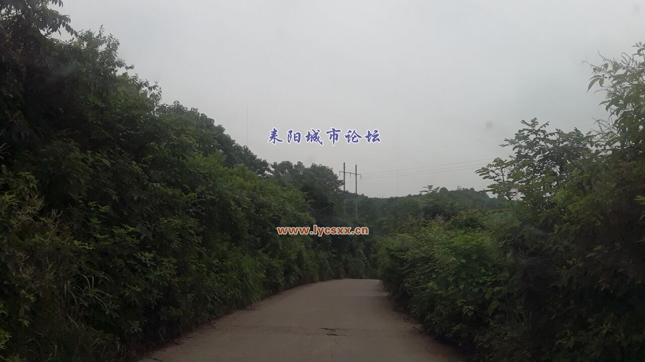 QQͼƬ20170620150523.jpg