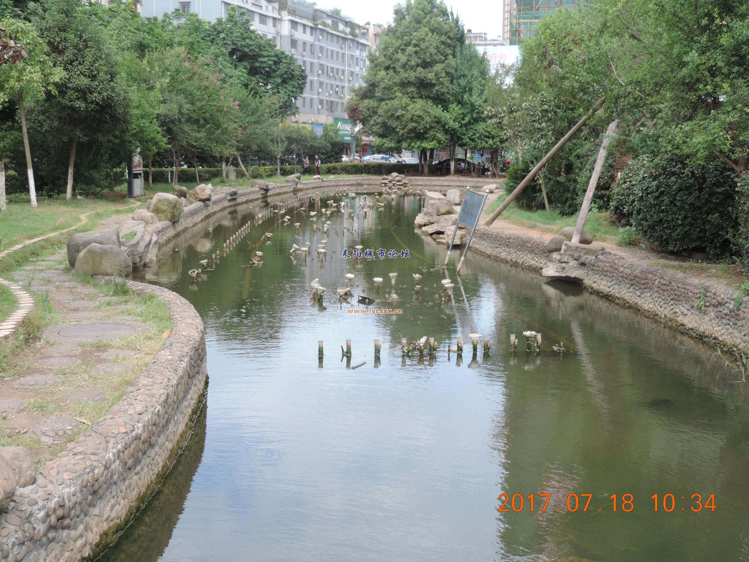 豸4.jpg