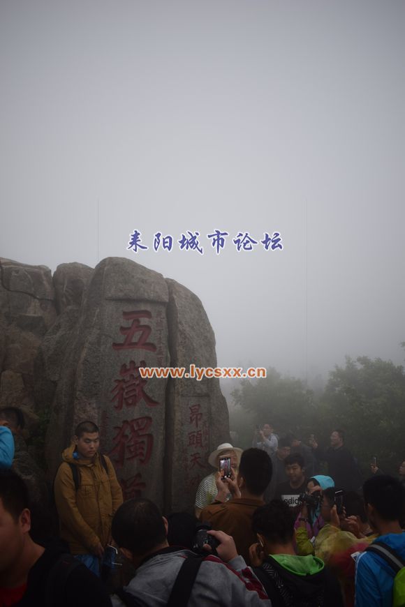 62fefd1f4134970a998f1cd99fcad1c8a6865d71.jpg
