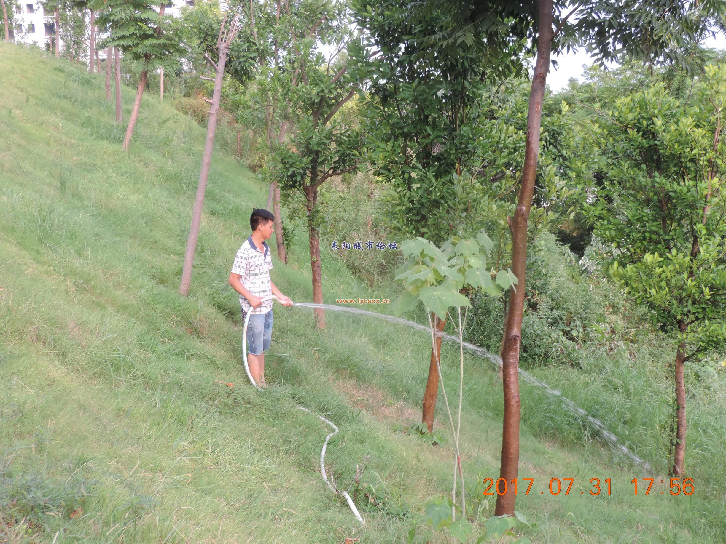 DSCN9836_ͼ.jpg