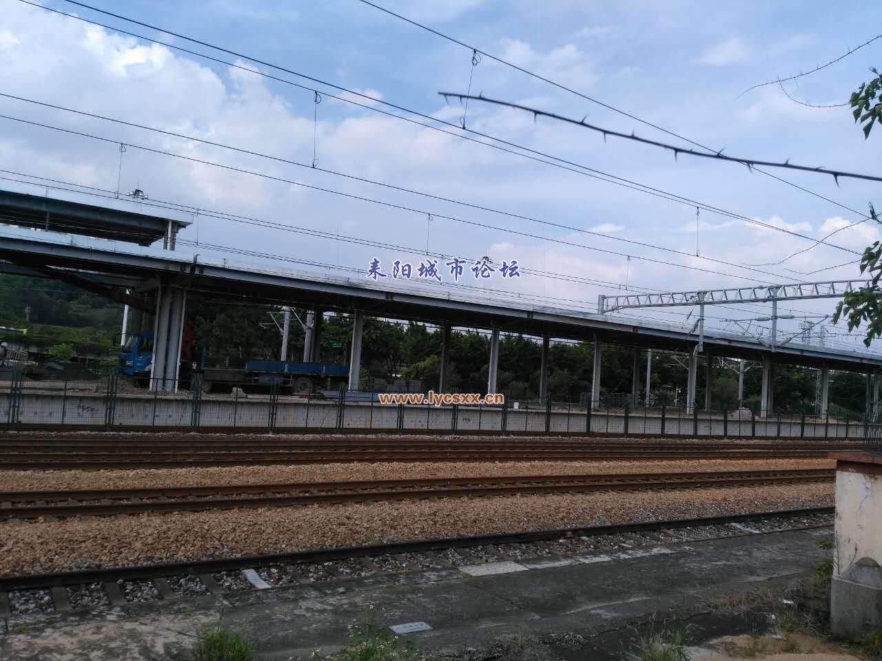 mmexport1502542436999.jpg