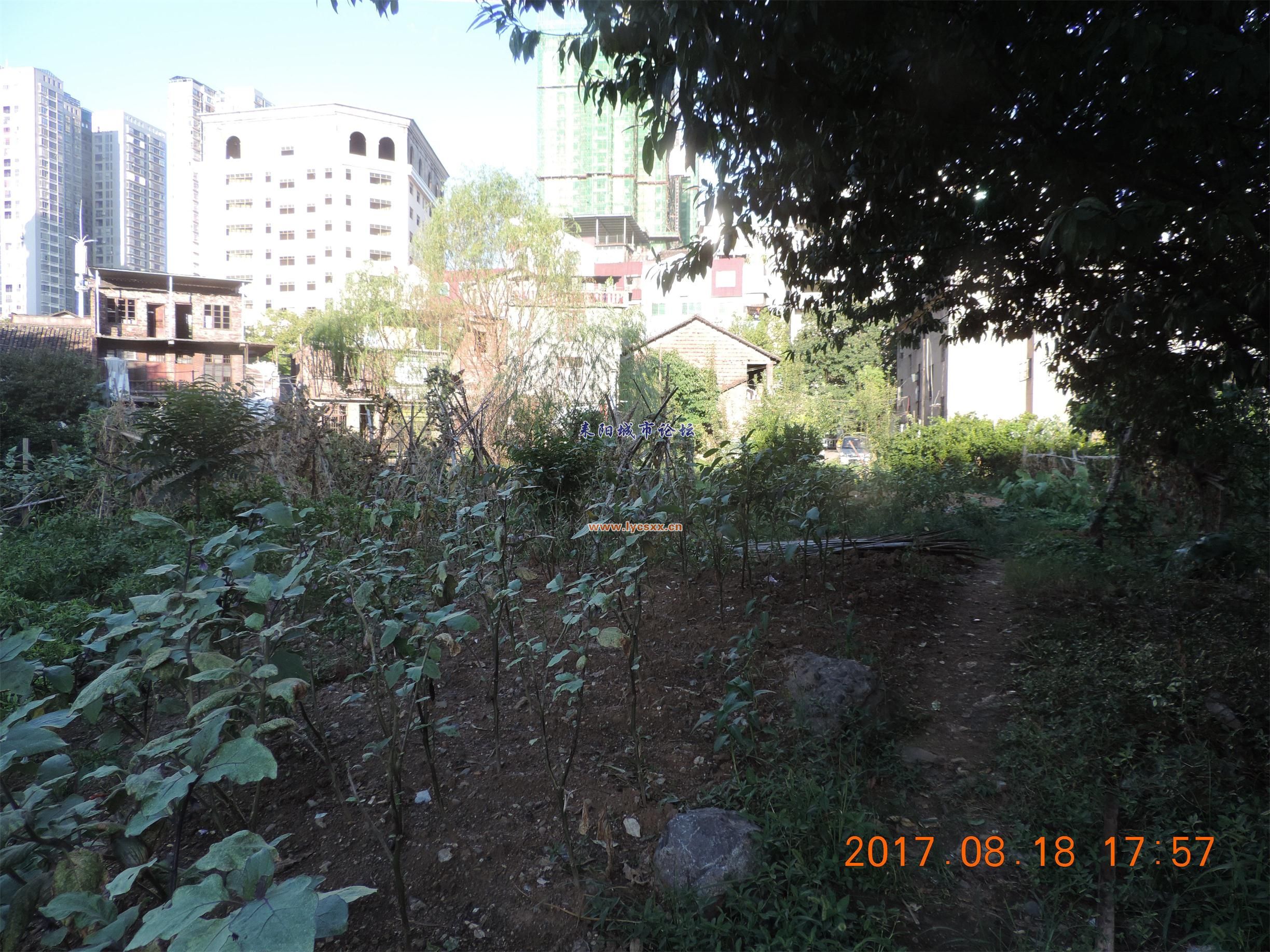 ի1.jpg