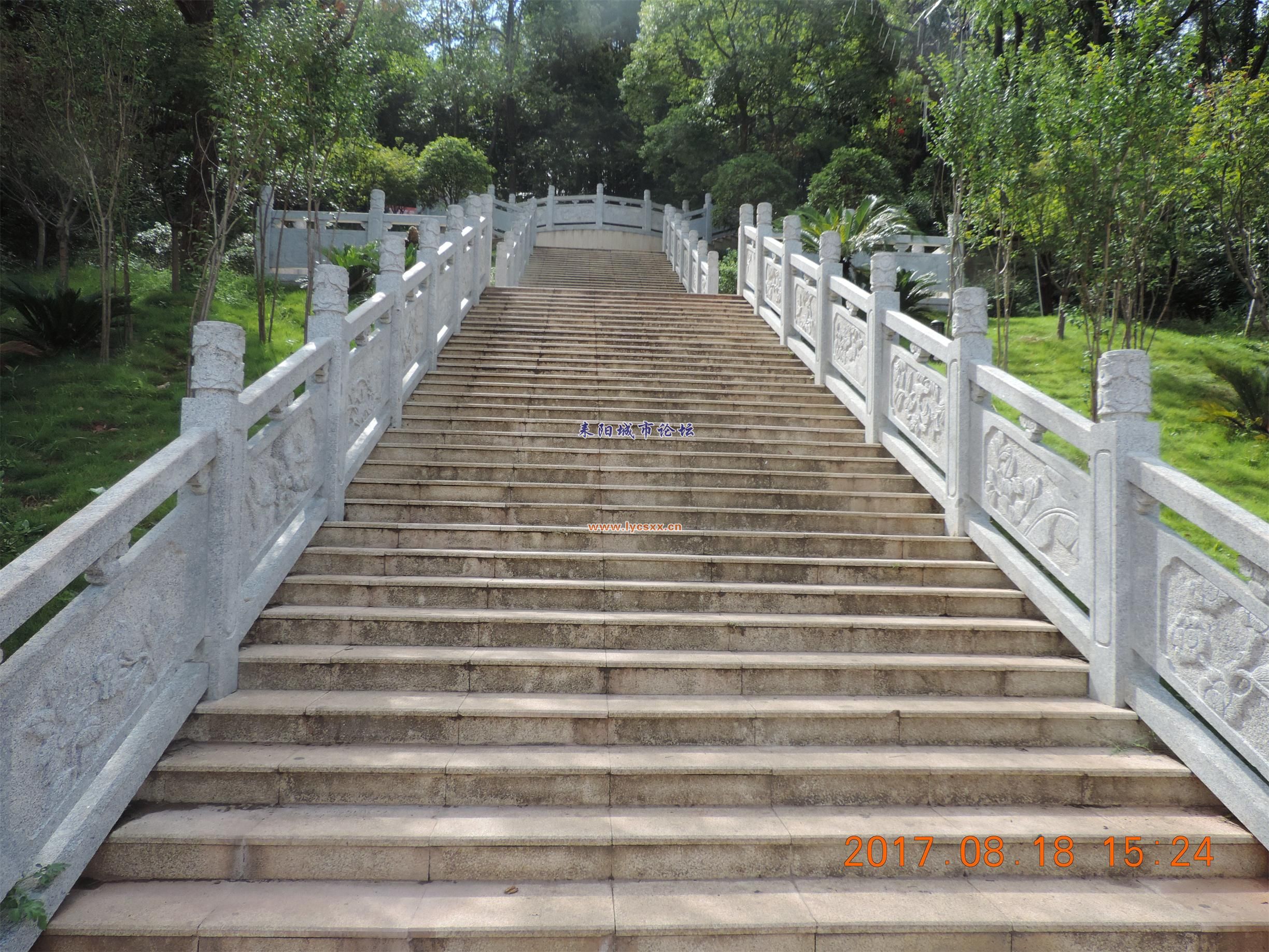 ʨ1.jpg