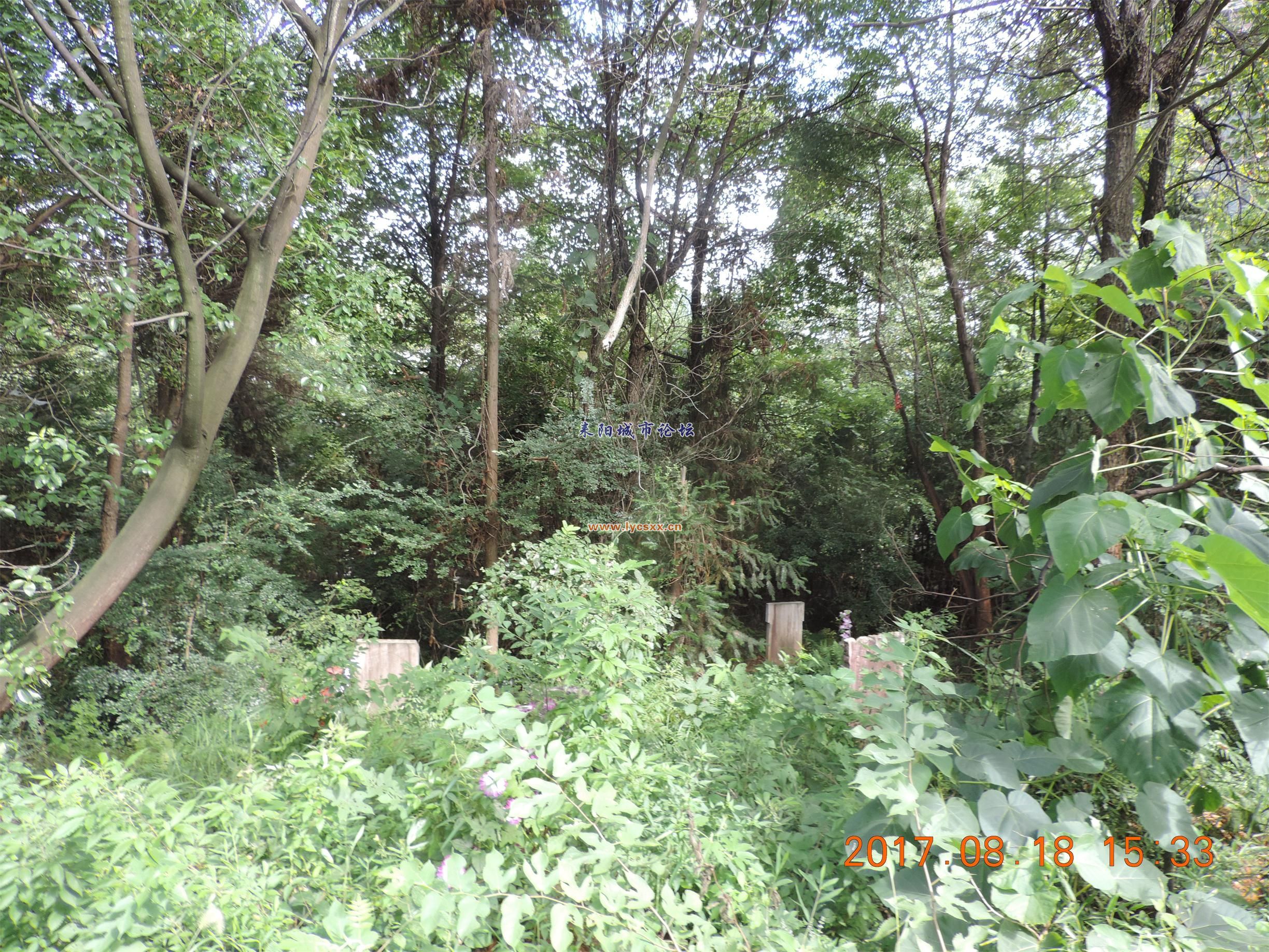ʨ5.jpg