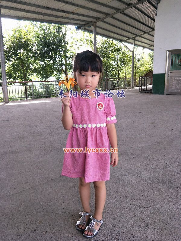 IMG20170903144446_.jpg