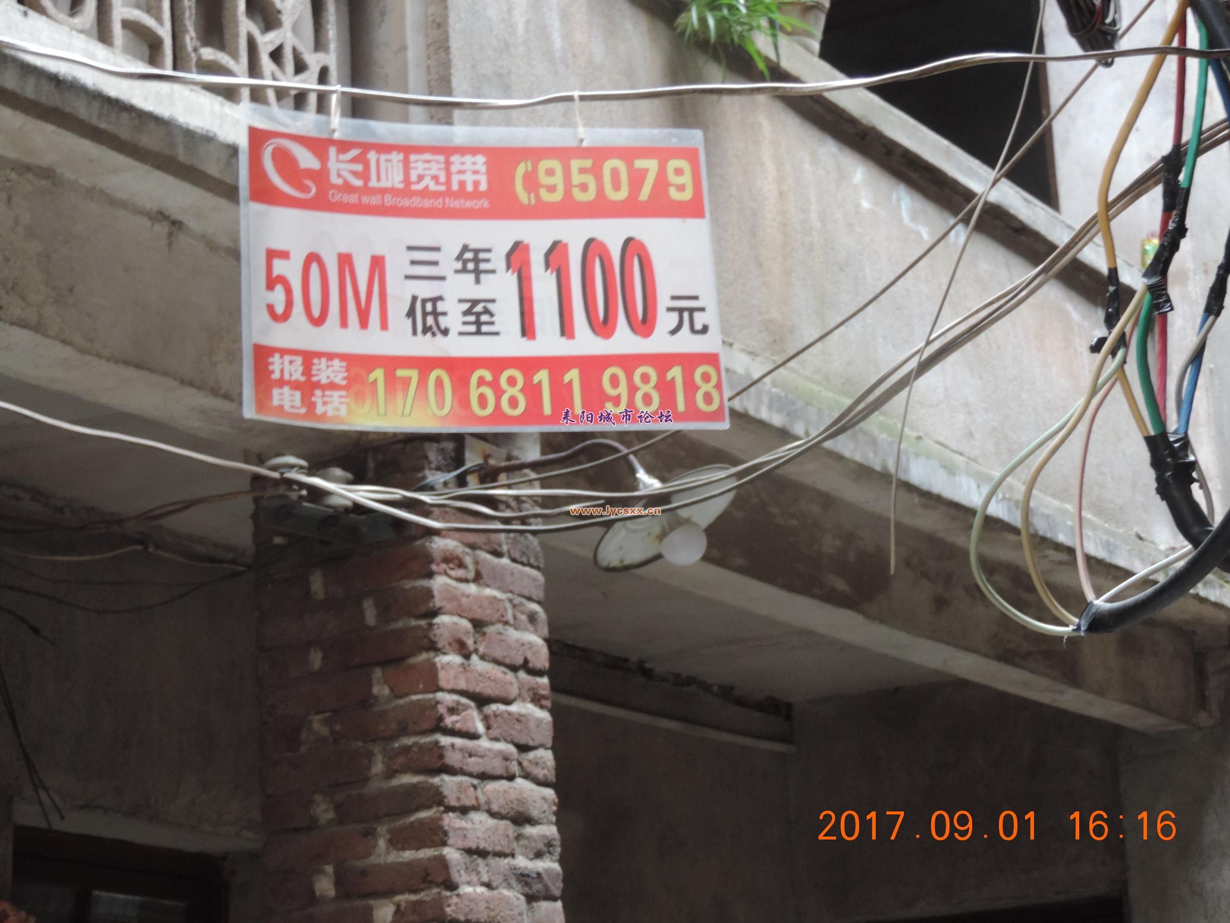 ƶ1.jpg
