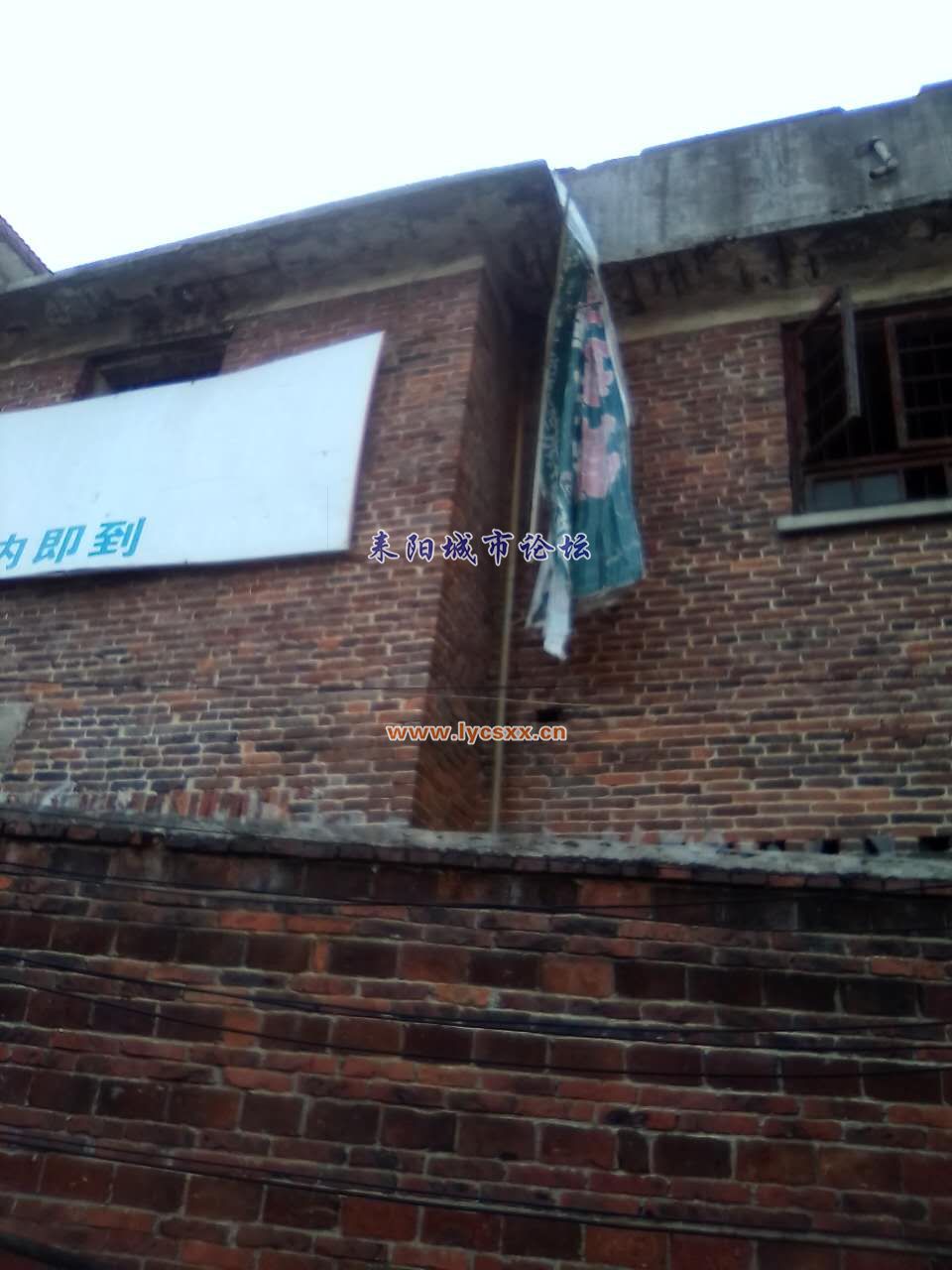 ҹ6.jpg