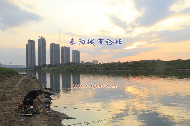 _MG_0254_.jpg