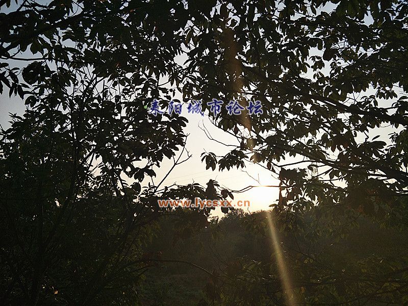 IMG20171002172713_.jpg