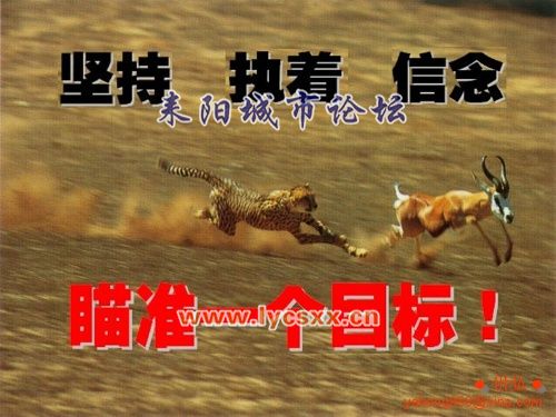 ִš.jpg