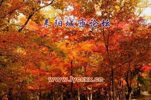 ΢ͼƬ_20171004114844.jpg