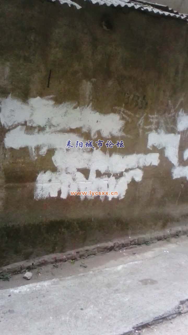 ţƤ1.jpg