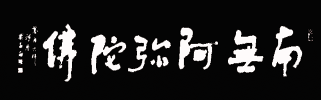 olq.photo.qq.gif