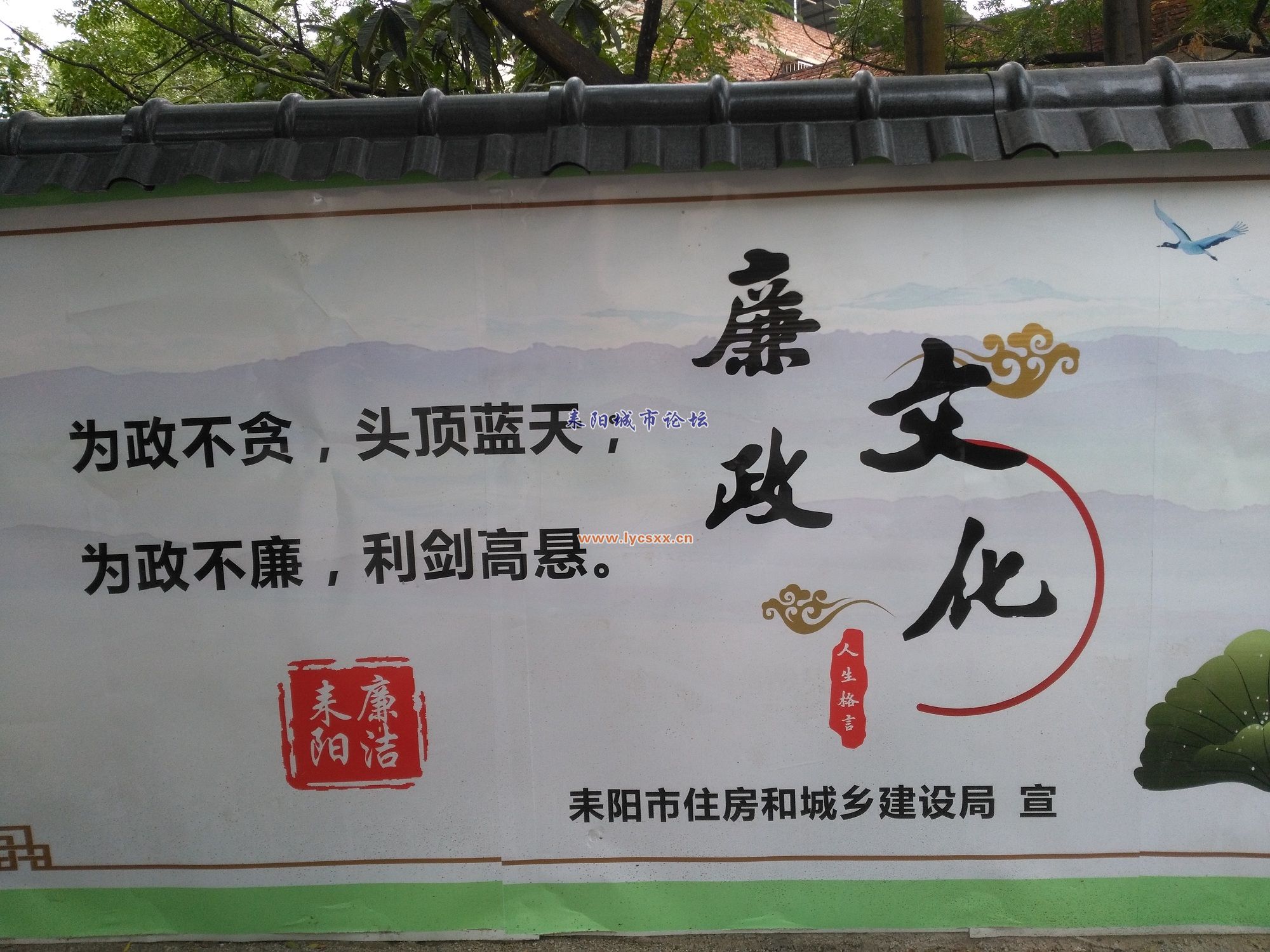 IMG_20171014_151215.jpg