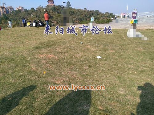 IMG_20171105_195230.jpg