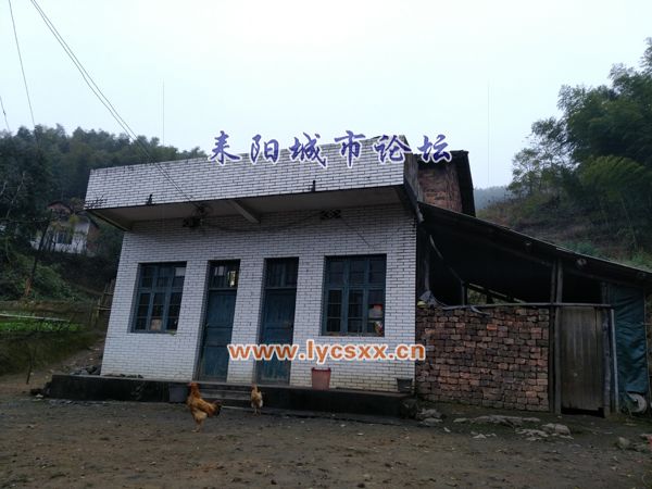 378.jpg