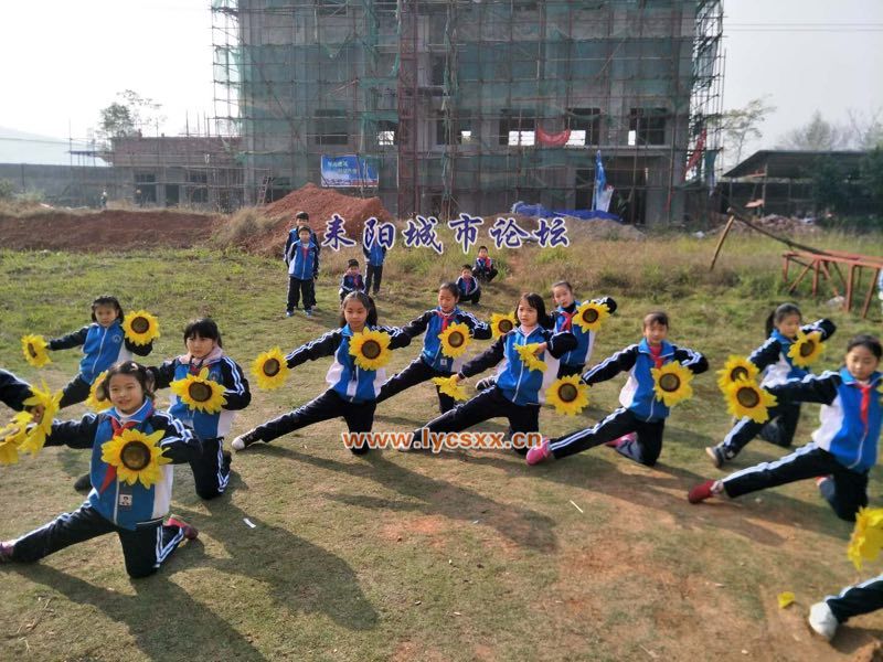 14.JPG