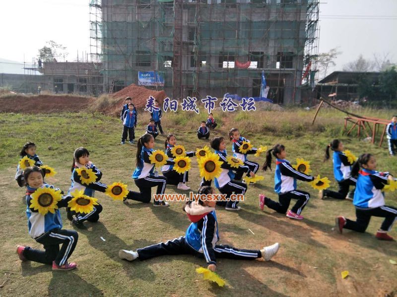 15.JPG