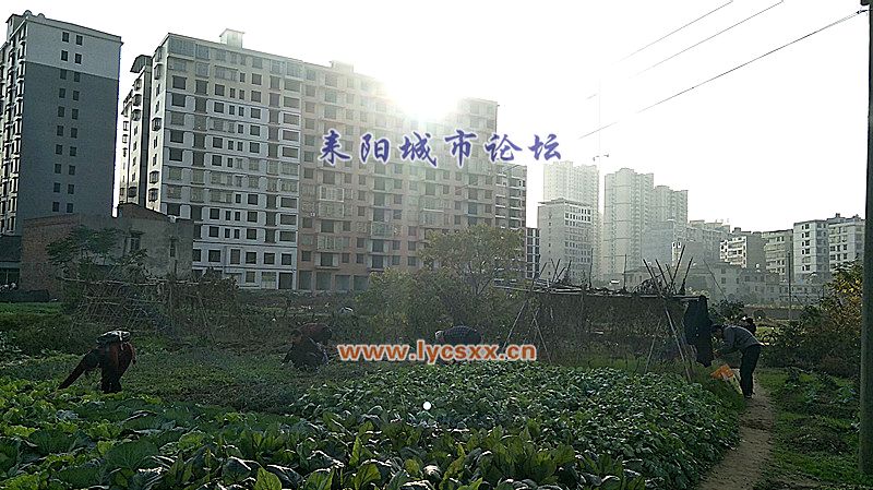 IMG20171220160408_.jpg
