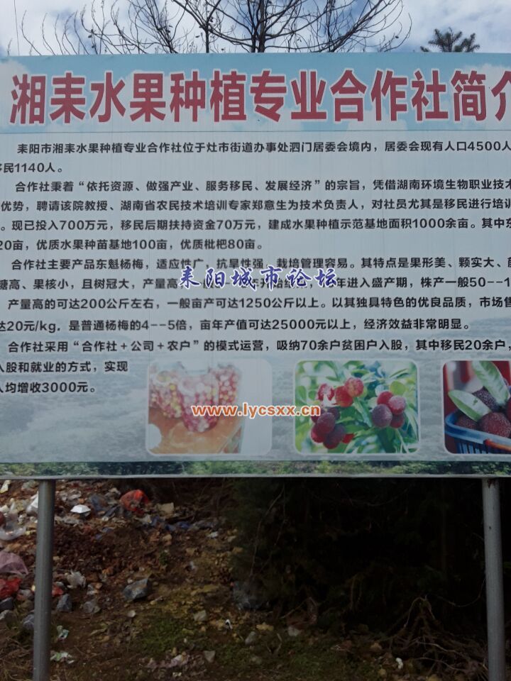 QQͼƬ20171223114130.jpg