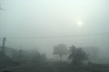 006a3JBVgy1fmzouutpkuj30zk0qoq6s.jpg
